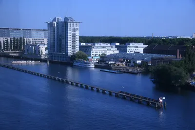 DSC_1769 (Large).JPG